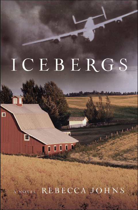 Cover image for book Icebergs