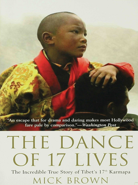 Cover image for book The Dance of 17 Lives