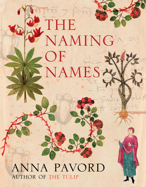 Cover image for book The Naming of Names