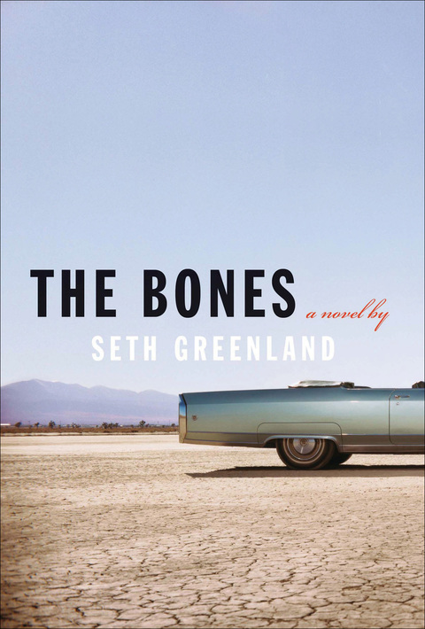 Cover image for book The Bones