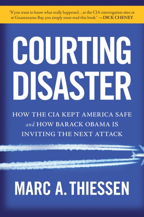 Cover image for book Courting Disaster