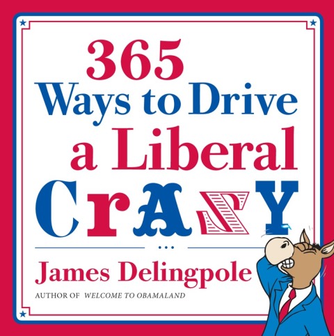 Cover image for book 365 Ways to Drive a Liberal Crazy
