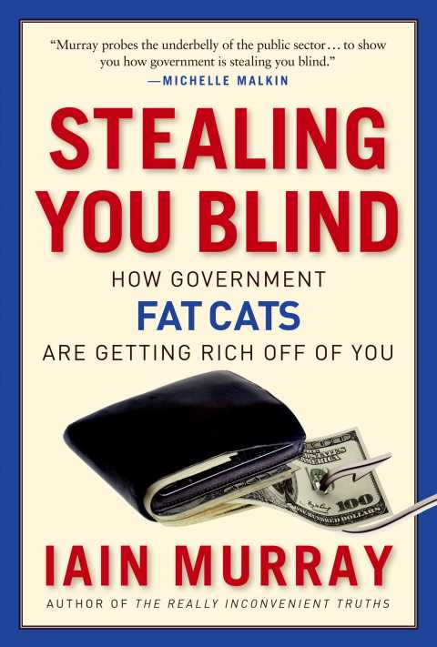 Cover image for book Stealing You Blind