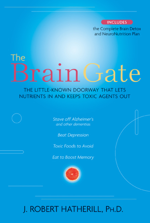 Cover image for book The Brain Gate