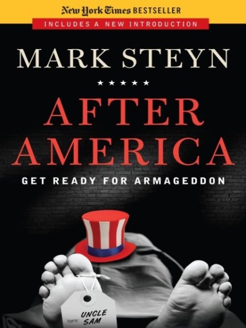 Cover image for book After America