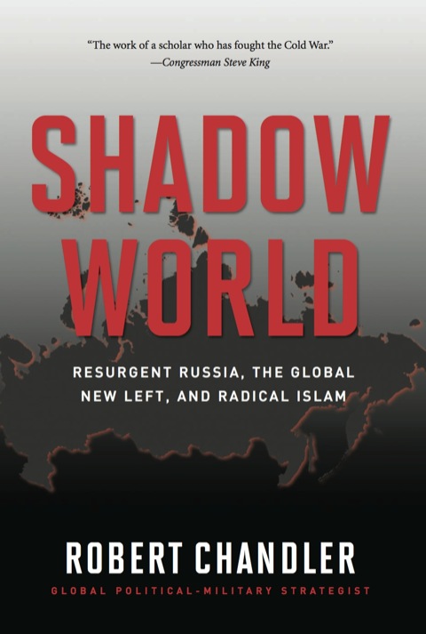 Cover image for book Shadow World