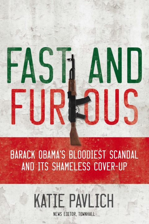 Cover image for book Fast and Furious