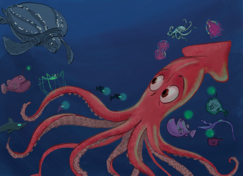 Cover image for book Sid the Squid
