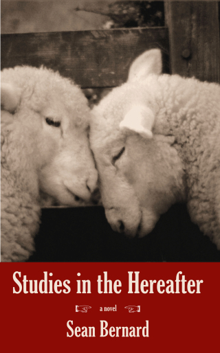 Studies in the Hereafter