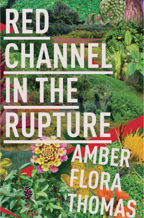 Cover image for book Red Channel in the Rupture