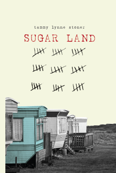 Cover image for book Sugar Land