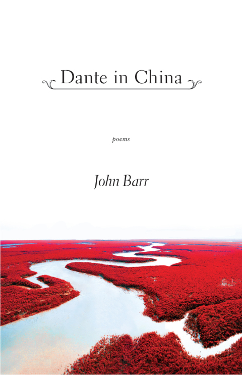 Cover image for book Dante in China