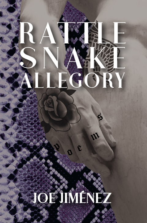 Cover image for book Rattlesnake Allegory