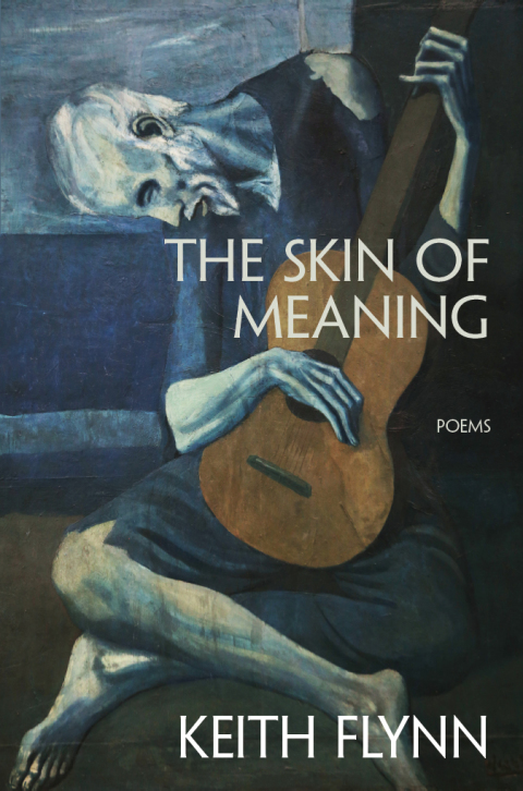 Cover image for book The Skin of Meaning