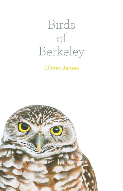Cover image for book Birds of Berkeley