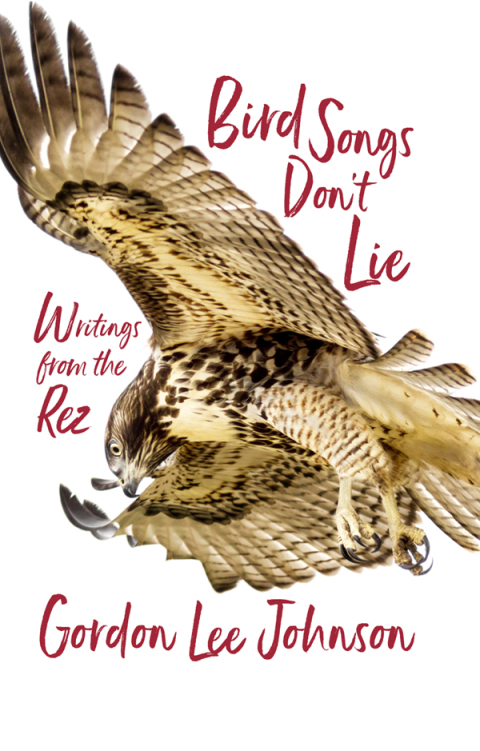 Cover image for book Bird Songs Don't Lie