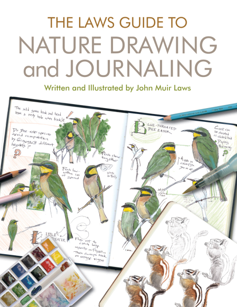 Cover image for book The Laws Guide to Nature Drawing and Journaling