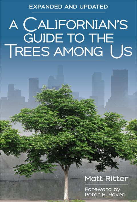 Cover image for book A Californian's Guide to the Trees Among Us