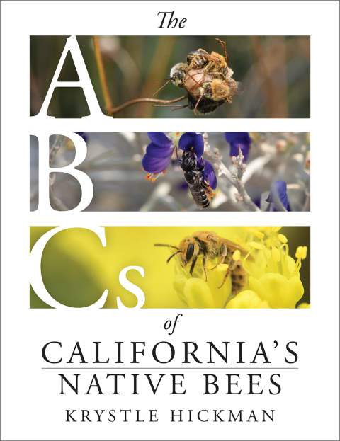 Cover image for book The ABCs of California's Native Bees