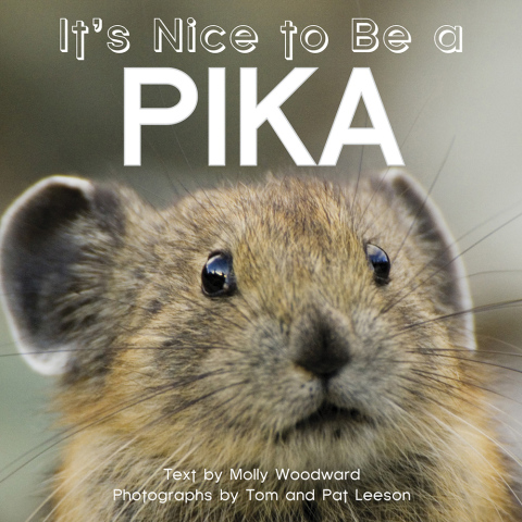 Cover image for book It's Nice to Be a Pika