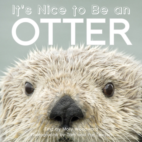 Cover image for book It's Nice to Be an Otter