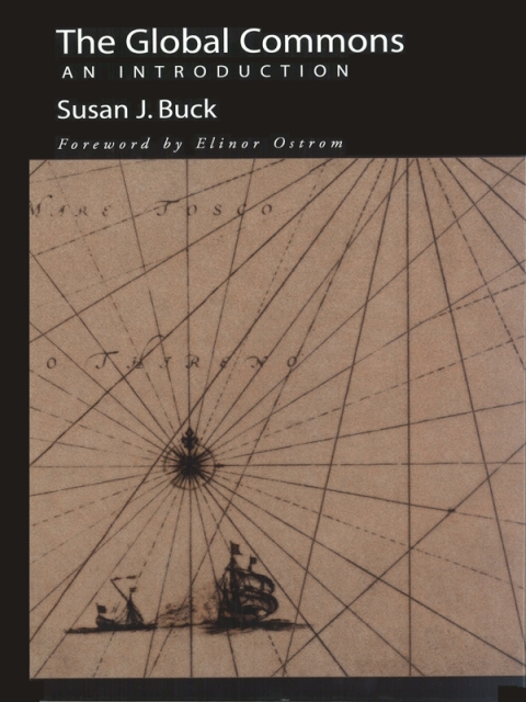 Cover image for book The Global Commons