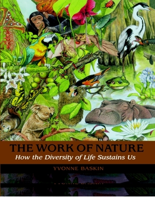 The Work of Nature