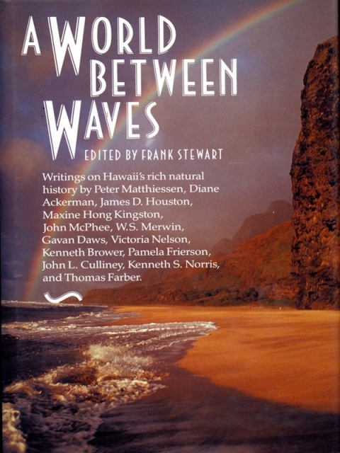 Cover image for book A World Between Waves