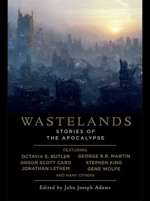 Cover image for book Wastelands