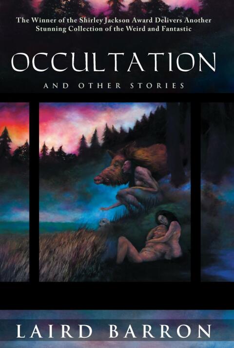 Cover image for book Occultation