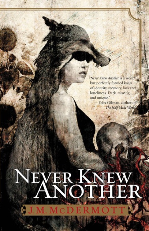 Cover image for book Never Knew Another