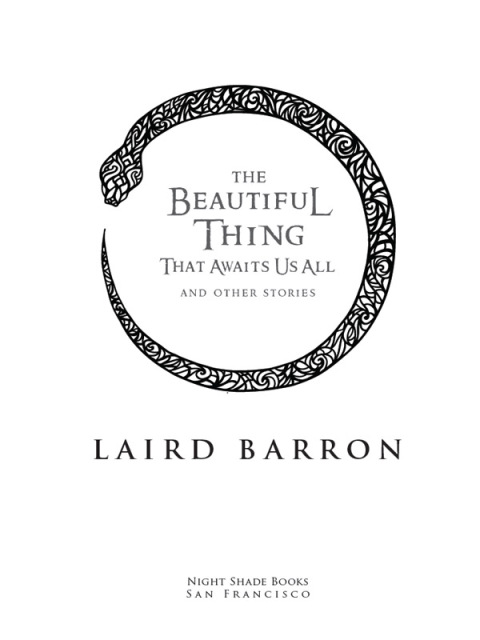 Cover image for book The Beautiful Thing That Awaits Us All