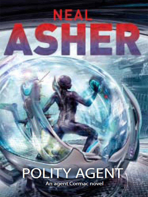 Cover image for book Polity Agent