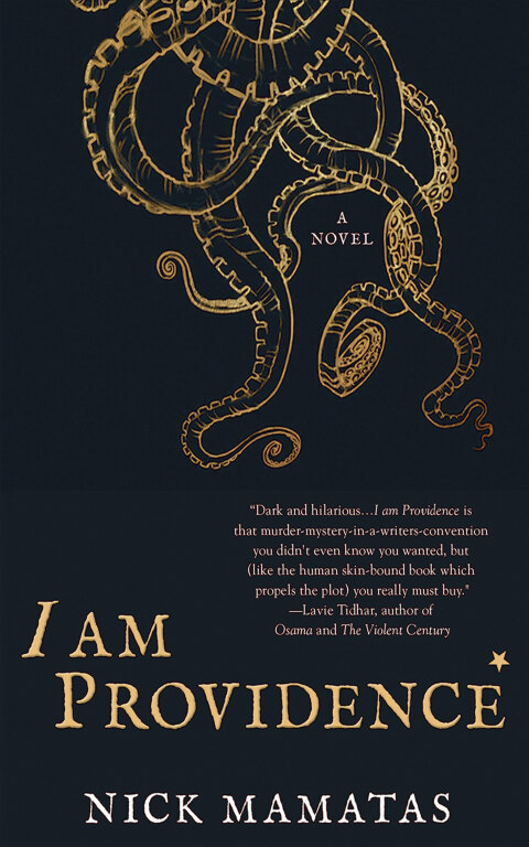 Cover image for book I am Providence