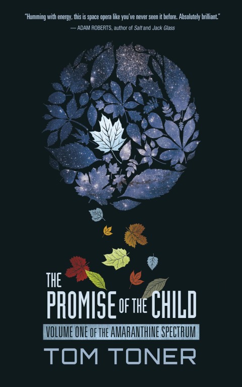 Cover image for book The Promise of the Child