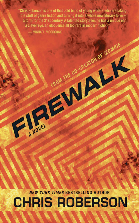 Cover image for book Firewalk