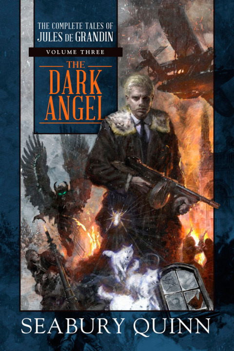 Cover image for book The Dark Angel