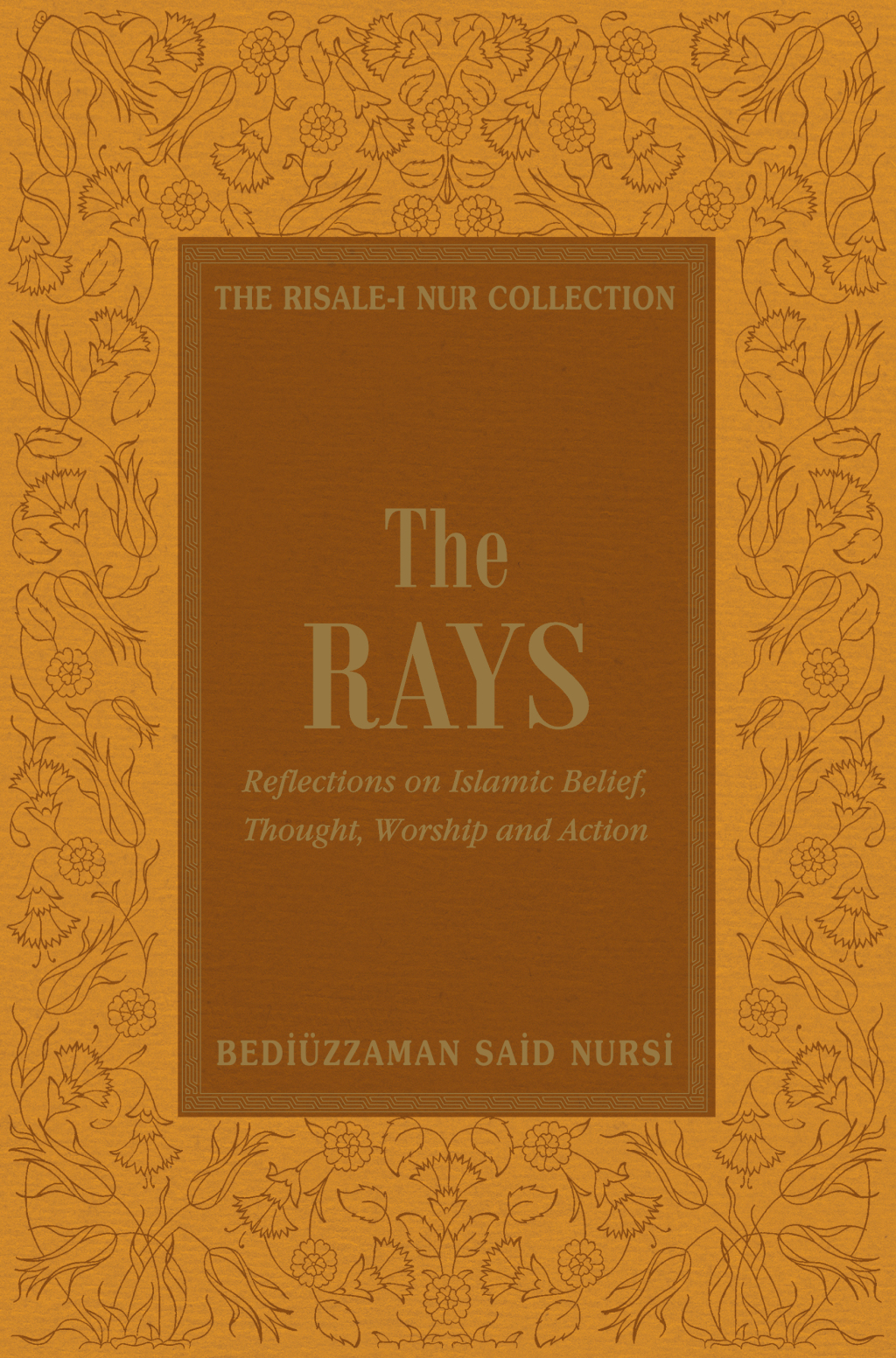 Rays (eBook)