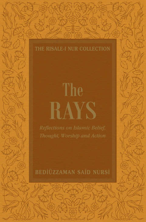 Cover image for book Rays