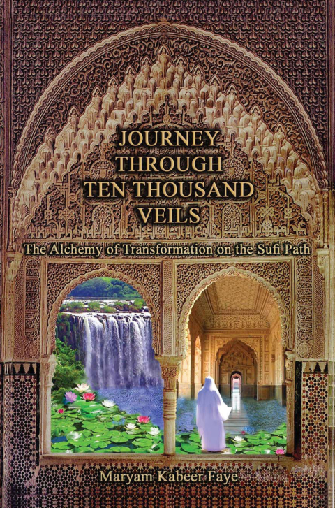 Cover image for book Journey Through Ten Thousand Veils