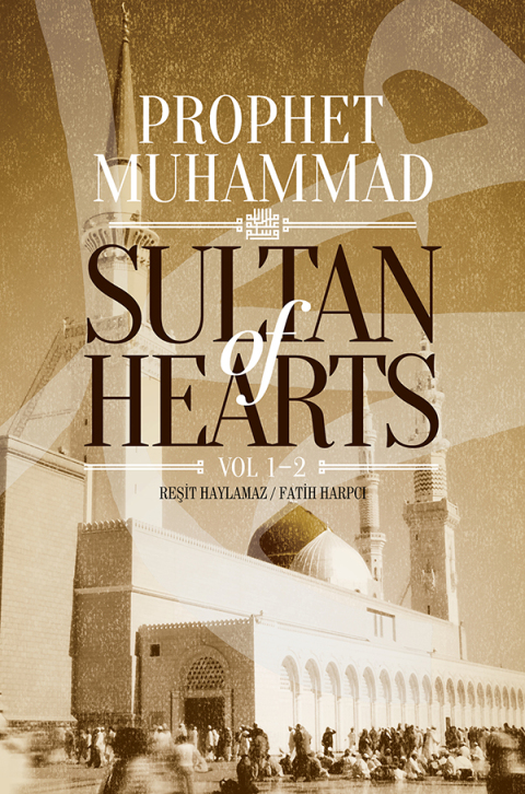 Cover image for book Sultan of Hearts