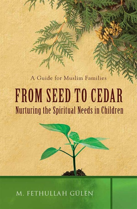 Cover image for book From Seed to Cedar