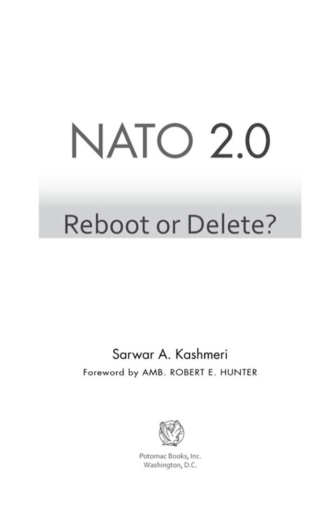 Cover image for book NATO 2.0