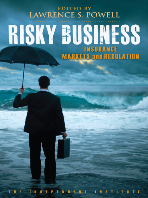 Cover image for book Risky Business
