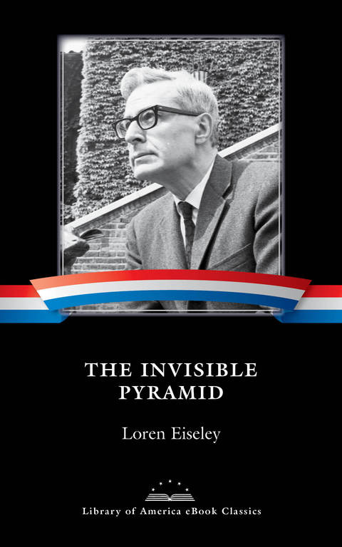 Cover image for book The Invisible Pyramid