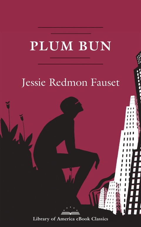 Cover image for book Plum Bun: A Novel Without a Moral