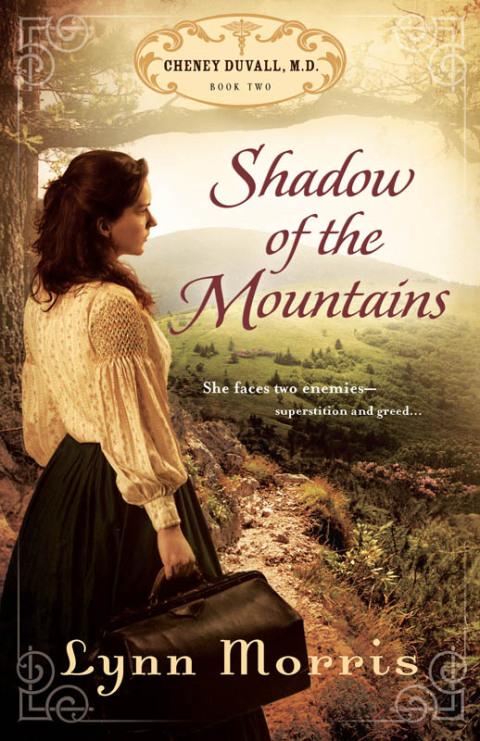Cover image for book Shadow of the Mountains