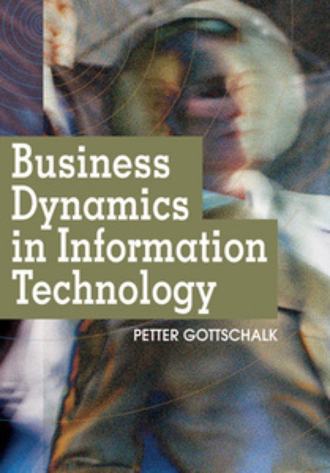 Cover image for book Business Dynamics in Information Technology