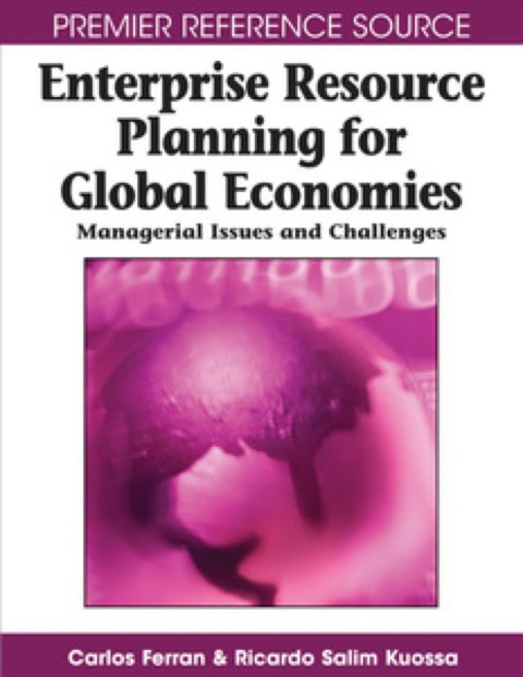 Cover image for book Enterprise Resource Planning for Global Economies