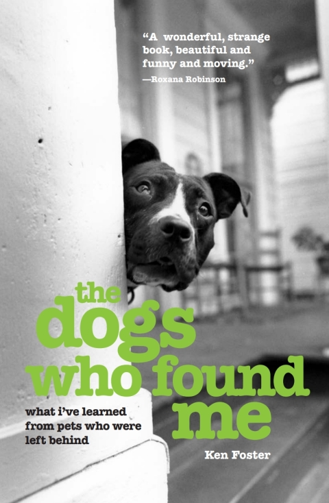 Cover image for book The Dogs Who Found Me